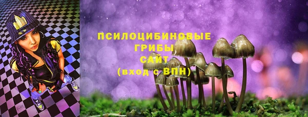 mdpv Лабытнанги