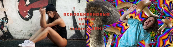 mdpv Лабытнанги